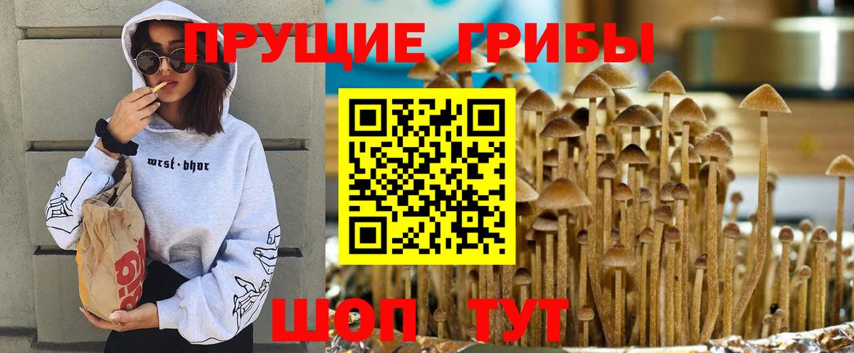 Галлюциногенные грибы Magic Shrooms  Вход с VPN  Великий Новгород 